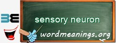 WordMeaning blackboard for sensory neuron